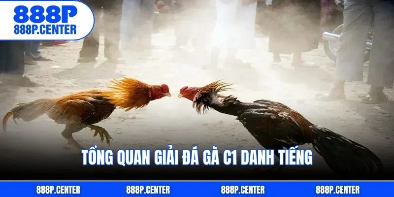 Tổng quan giải đá gà C1 danh tiếng