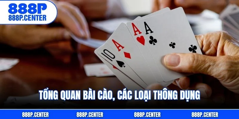 Tổng quan bài cào, các loại thông dụng