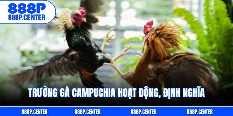 Trường gà Campuchia hoạt động, định nghĩa